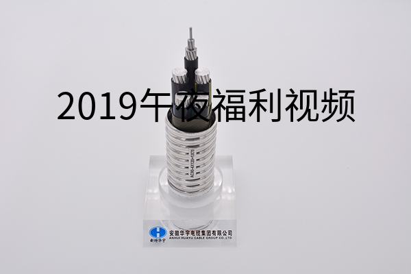 2019午夜福利视频