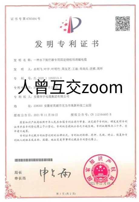 人曾互交zoom