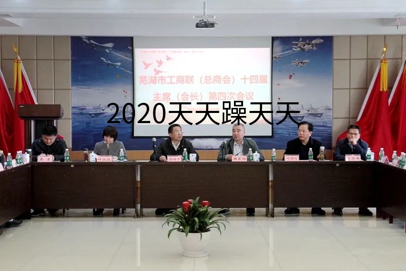 2020天天躁天天